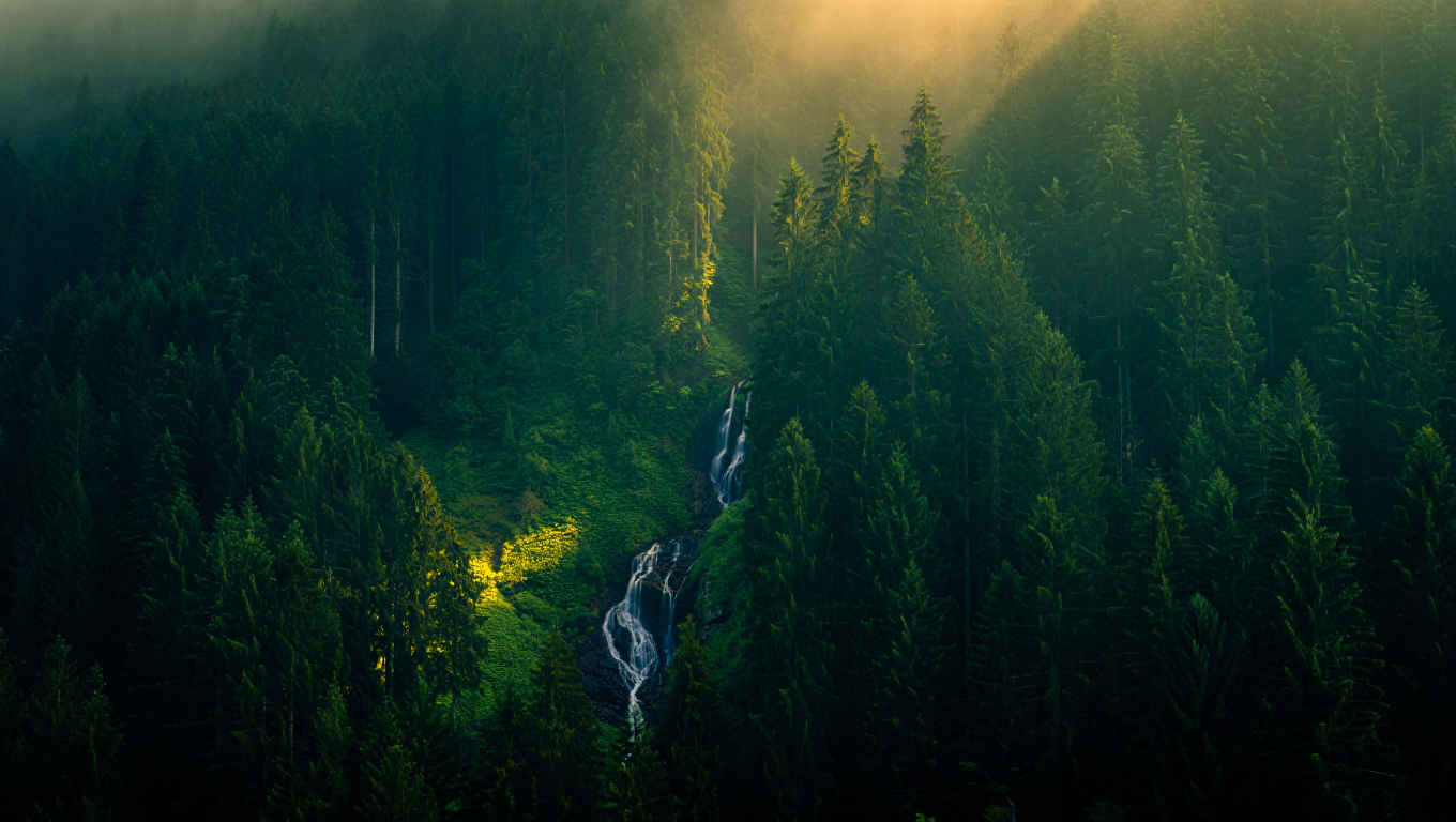 Schwarzwald mit dichten Tannenwäldern, Wasserfällen und traditionellen Bauernhöfen